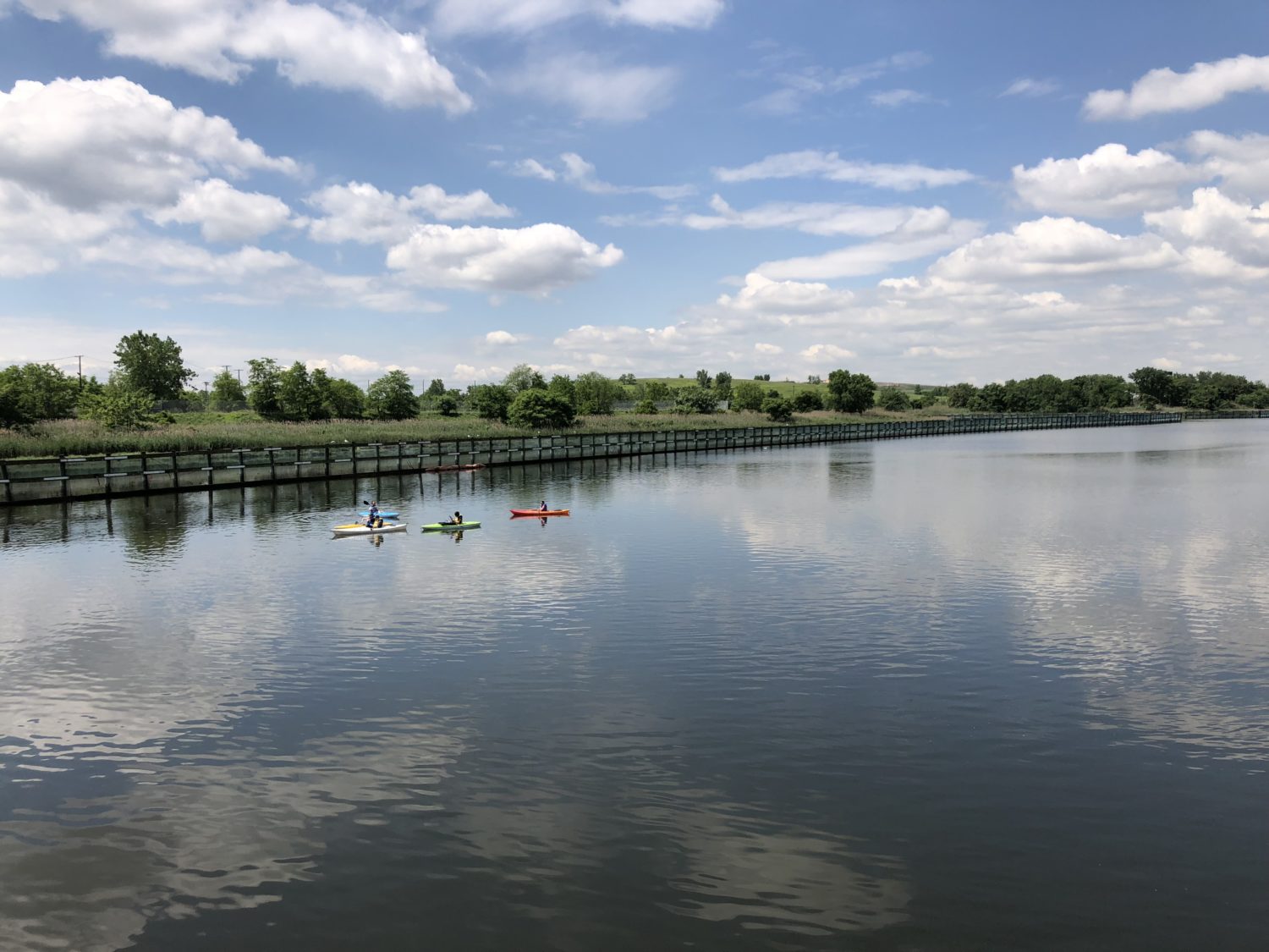 IEC continues pathogen monitoring partnership with Fresh Kills Park Alliance