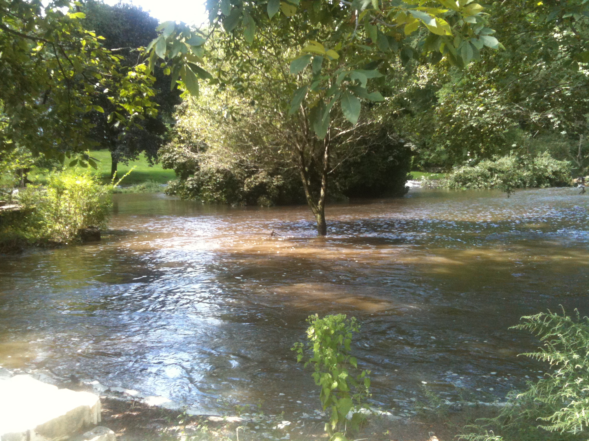Water Quality Monitoring and Modeling of the Byram River