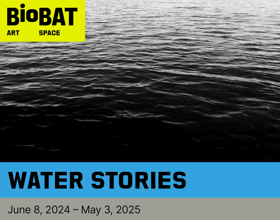 Water Stories banner