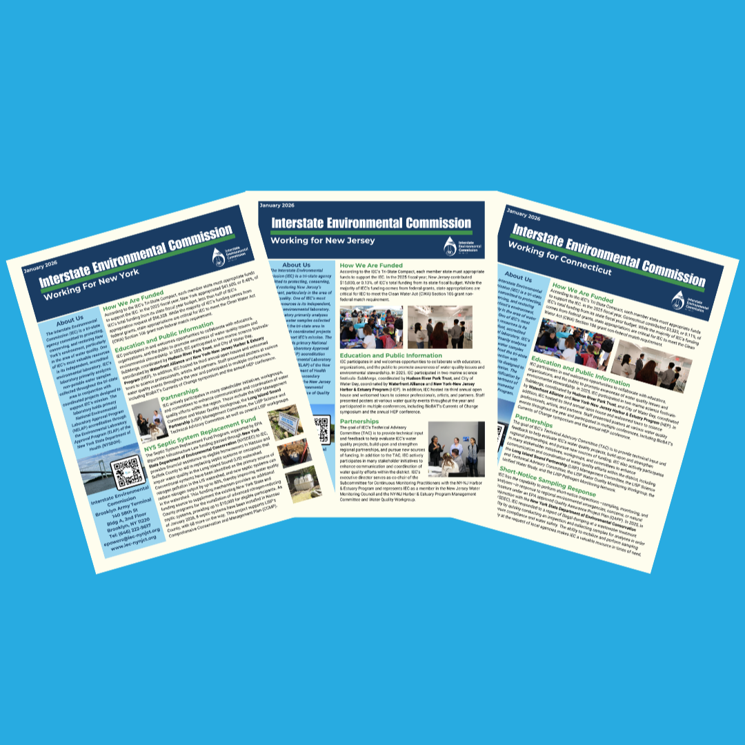 State Summaries 2025