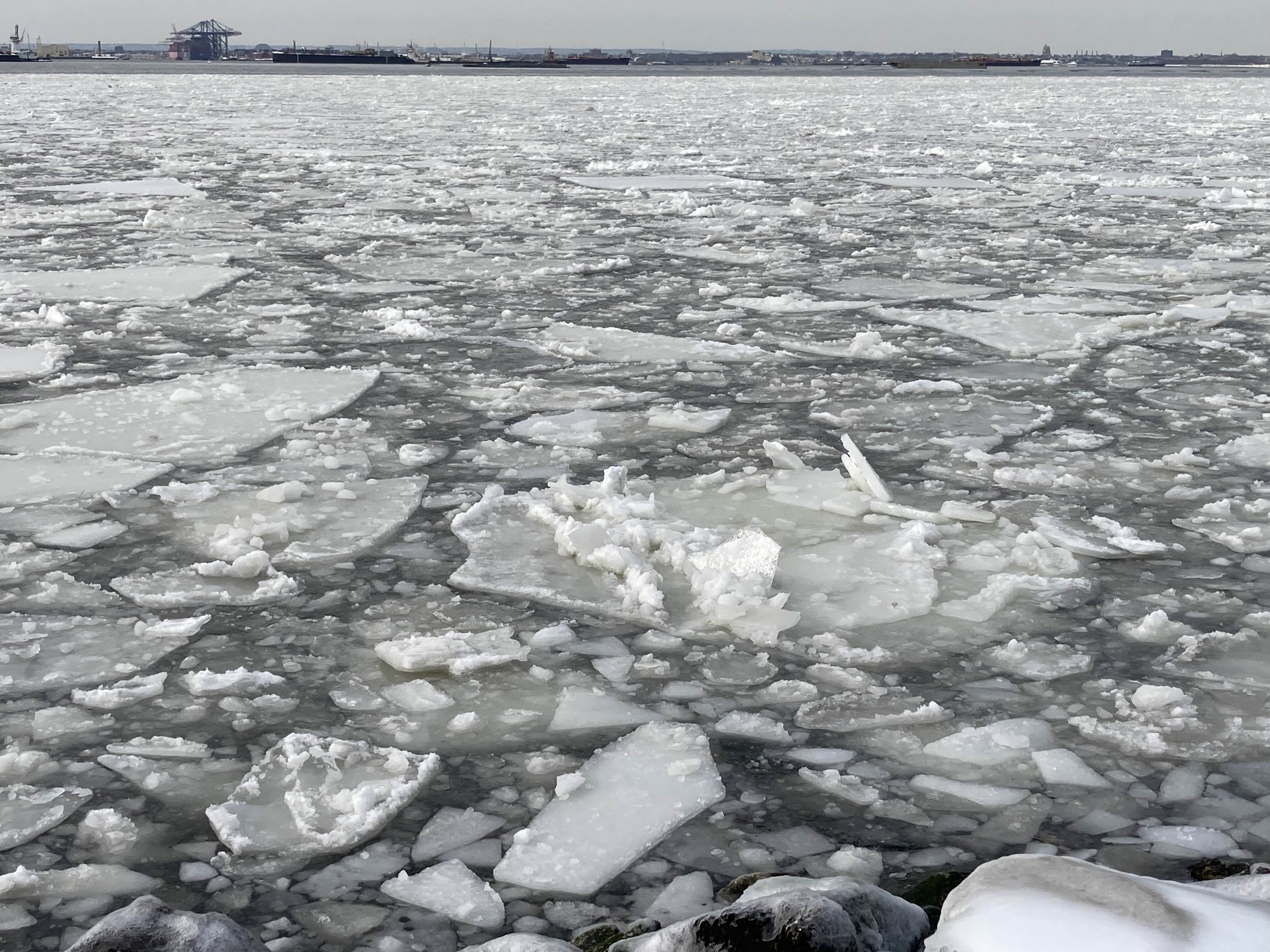 ice on the harbor
