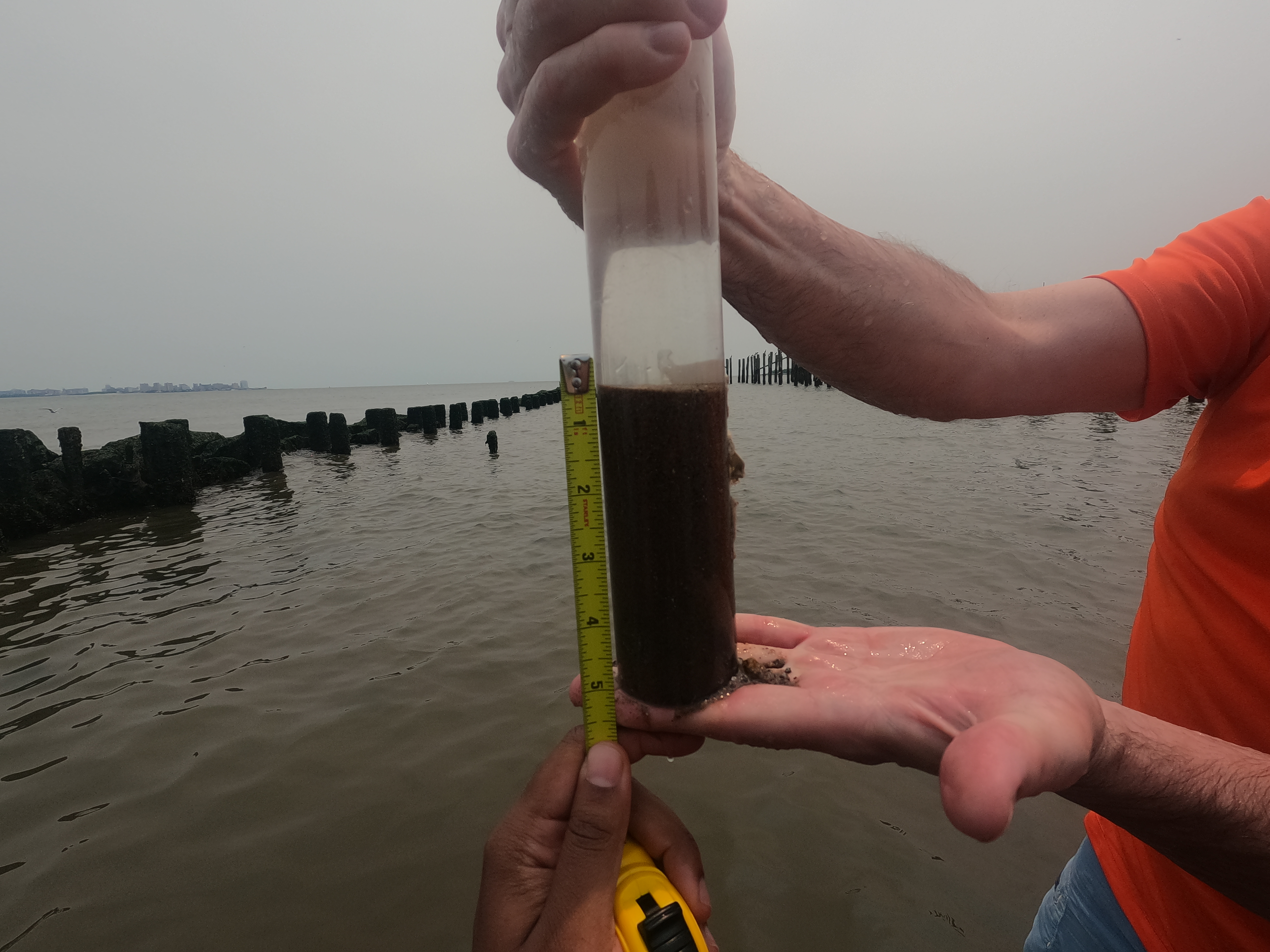 Core sediment sample