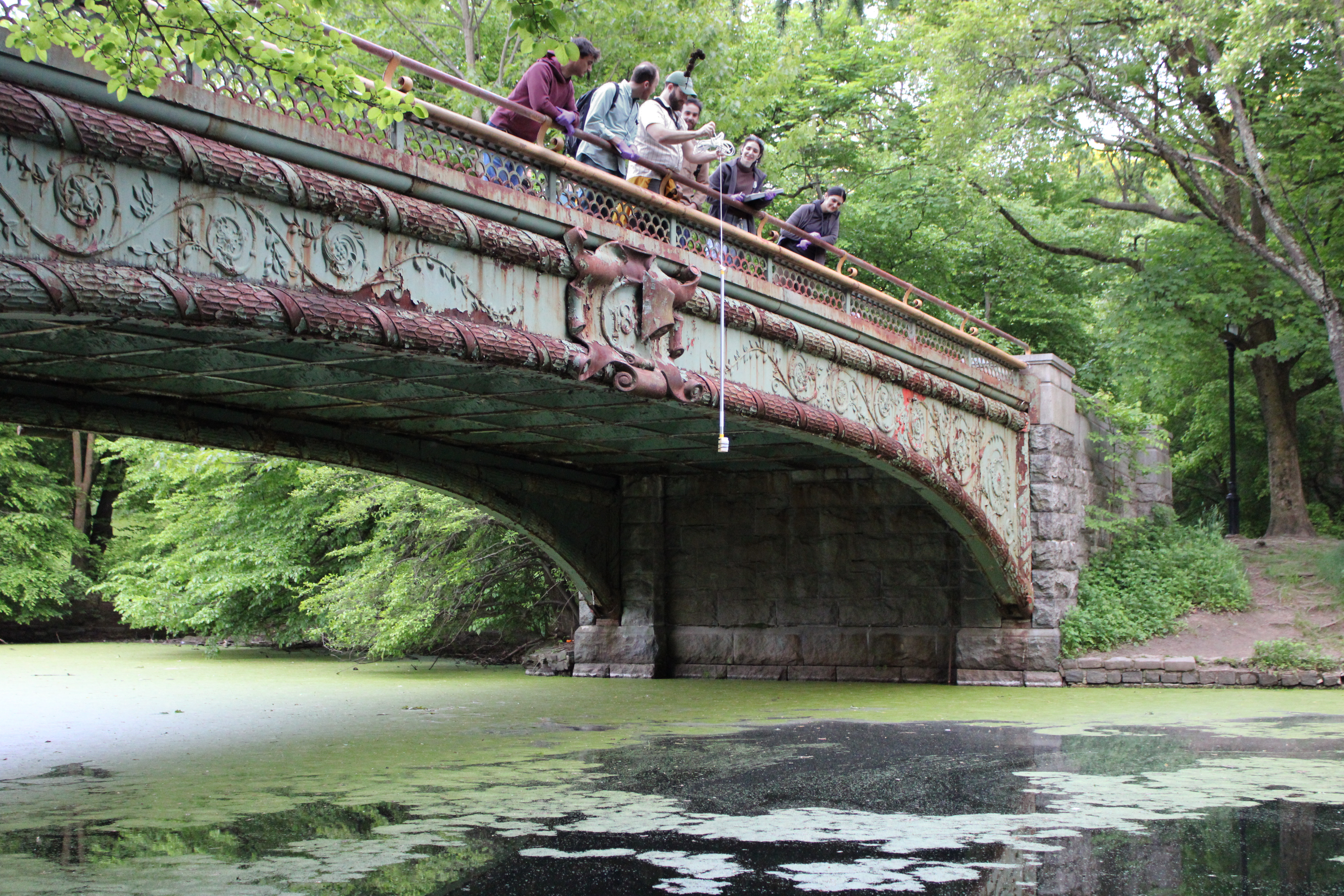 Bridge Sampling
