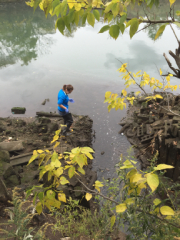 Coney Island Creek