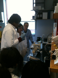 IEC  Staff  demonstrate  microbiological  testing  to  Staten  Island  Junior  high  school  students. 