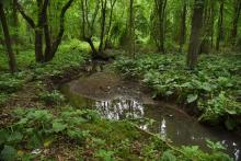 Discover New York City’s “Hidden” Waterways