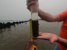 Core sediment sample