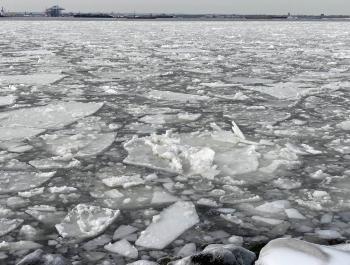 ice on the harbor