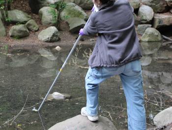 Volunteer Sampling Demo