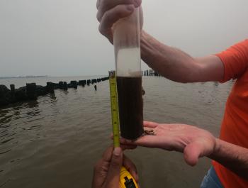 Core sediment sample